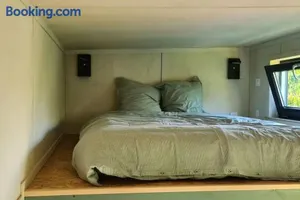 Image of Le petit nid des Mésanges