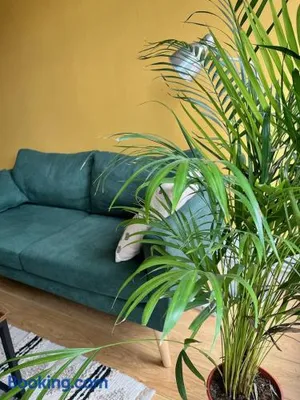 Image of Appartement avec terrasse Salle de sport et 3 chambres
