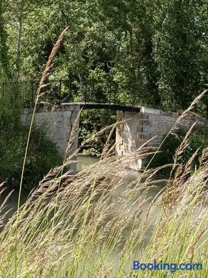 Image of L'Angelique