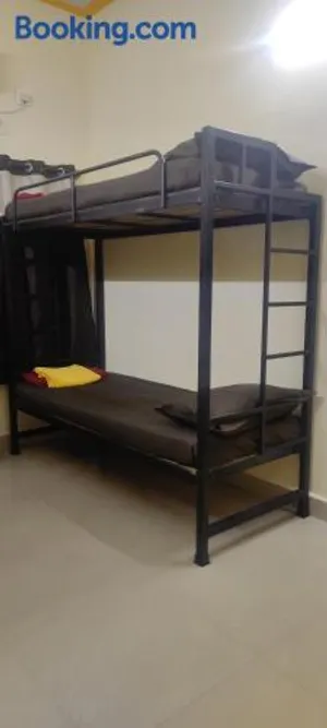Image of BACPAC MONKEY COLIVING