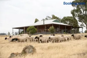 Image of Gilgraves Vineyard Farmstay