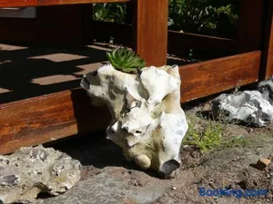 Image of FeWo Tinchen Prora Ruegen