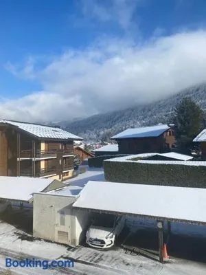 Image of Les blanches aiguilles