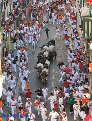 Image of Pamplona ciudad maravilla