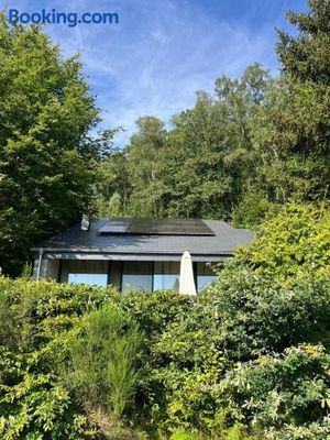 Image of Le Vieux Sart 32 Coo