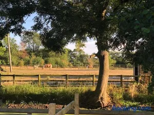 Image of Spacious Cottage in Idyllic Spot