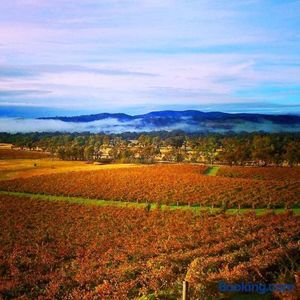 Image of 4 Bedroom Holiday House in Winery