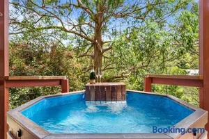 Image of Ravensbourne Escape-Tree Tops