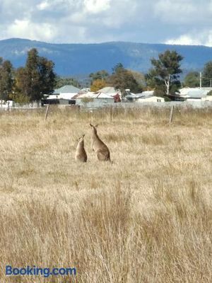 Image of Hunter Valley Nulkaba breathtaking views relax