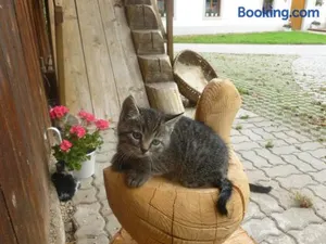 Image of Ferien am Land - WALDBAUER