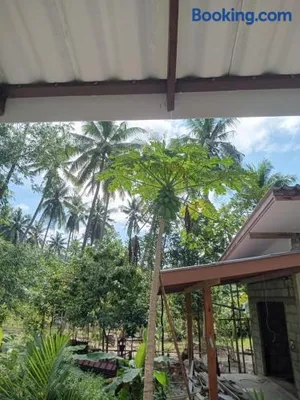 Image of Chom Suan Farmstay