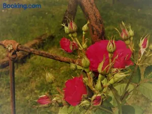 Image of Bastida de Beata