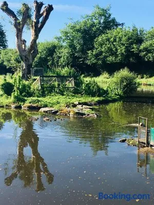Image of Le refuge des canards