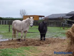 Image of les 3 notes de mérotte