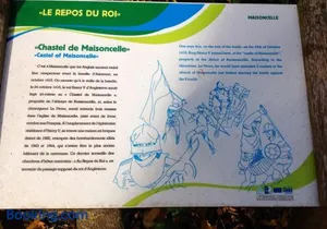 Image of Au repos du roi