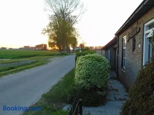 Image of Polderhuis voor 8-10 personen aan zee