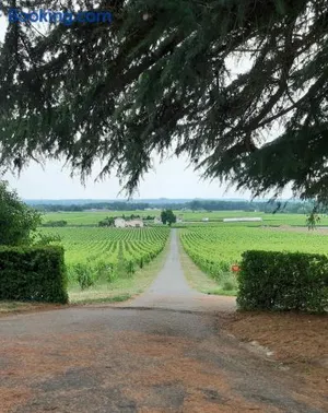 Image of A L'OMBRE DE LA TREILLE -Proche Saint-Emilion