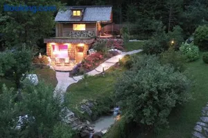 Image of Xeishittn SternenNest