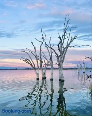 Image of Bonney Shores