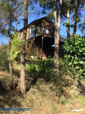 Image of Beautifully Elevated Treehouse Apartment