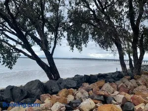Image of Lakefront Turtle Retreat - Hervey Bay - Free Parking - Self Check In