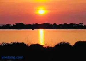 Image of Les flamants Roses la Capte Clim 4pers 100m plage