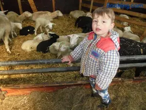 Image of Boerderij Halfweg