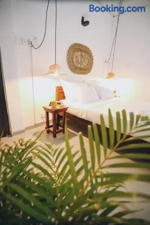 Image of Island Diaries Hostel