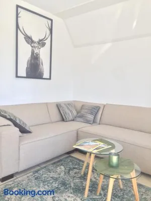 Image of Guesthouse "Cosmea"