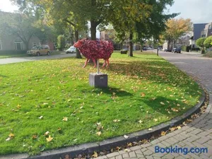 Image of Confort Hengelo