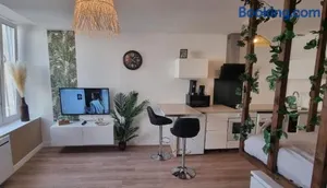 Image of New jungle studio cœur de ville