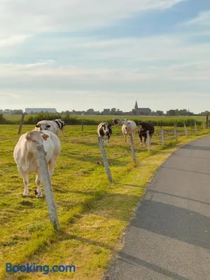 Image of Gastenverblijf Hof Moye Tyt