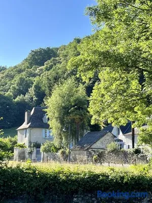 Image of Les Perséides