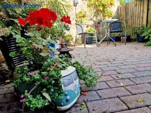 Image of Jackdaw Cottage-Beautiful Cottage, Town Centre