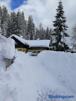 Image of Almhütten Sonnblick & Almfried