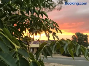 Image of Birdsong Gardens