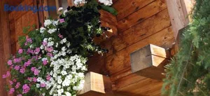 Image of Mohrs Herzl Chalet