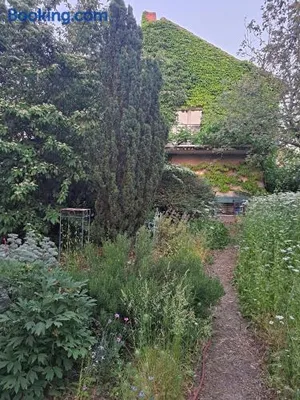 Image of Im Efeu