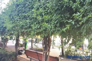 Image of LOFT 2 DORMITORIOS
