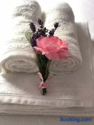 Image of Chalet aan de Rotte