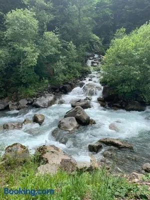 Image of The River Pearl