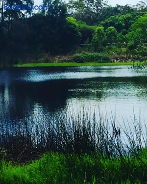 Image of Cloudlake Mountain Retreat