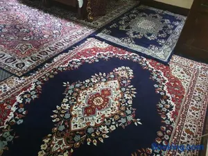 Image of Hotel Wazir Palace