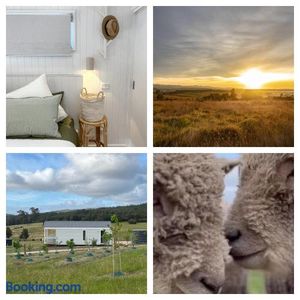 Image of Banjos Cabin Gippsland - NEW Hamptons Retreat w King Bed Valley Views