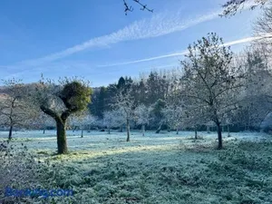 Image of Les Gabelous - micro-gîtes - Viroinval
