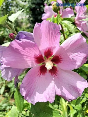 Image of Urlaub am Bauernhof