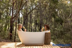 Image of Tiny Phoebe