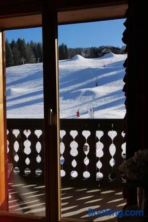 Image of Edelweiss
