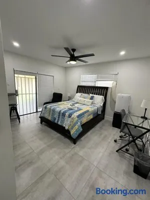 Image of LYZ Miami