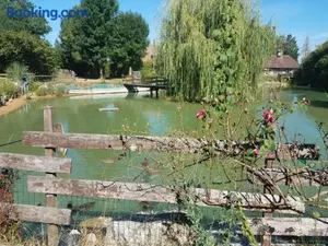 Image of Ferme bressane les Arums